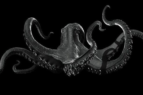 Kraken ссылка официальная