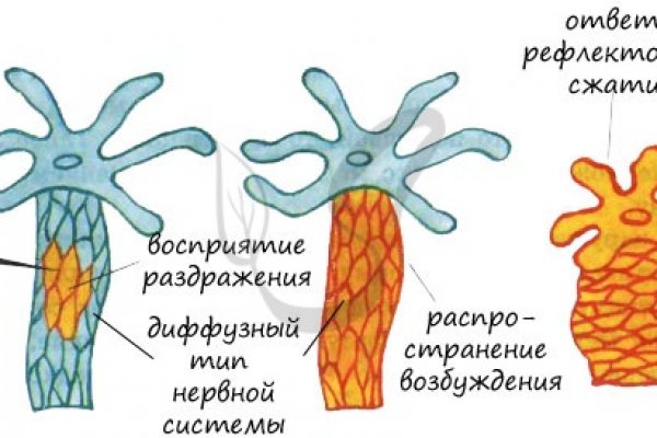 Действующая ссылка на кракен