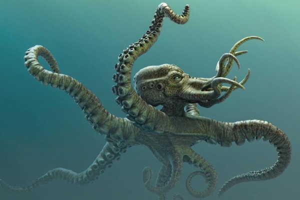 Kraken 2 зеркало