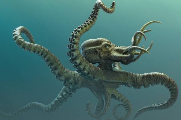 Kraken что это за сайт