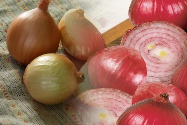 Кракен ссылка onion