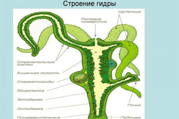 Kraken market зеркала