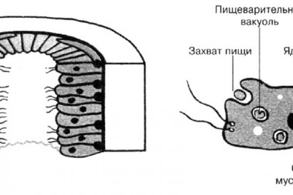 Кракен даркшоп