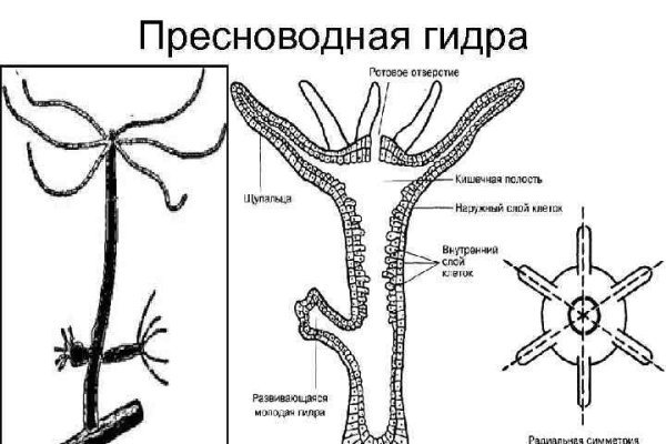 Кракен даркнет не работает