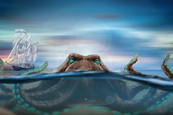 Kraken настоящая ссылка
