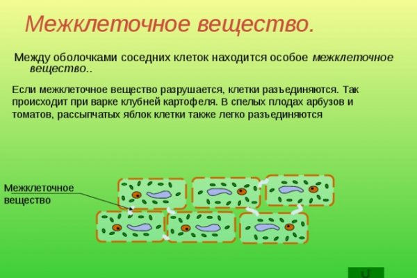 Кракен новый сайт